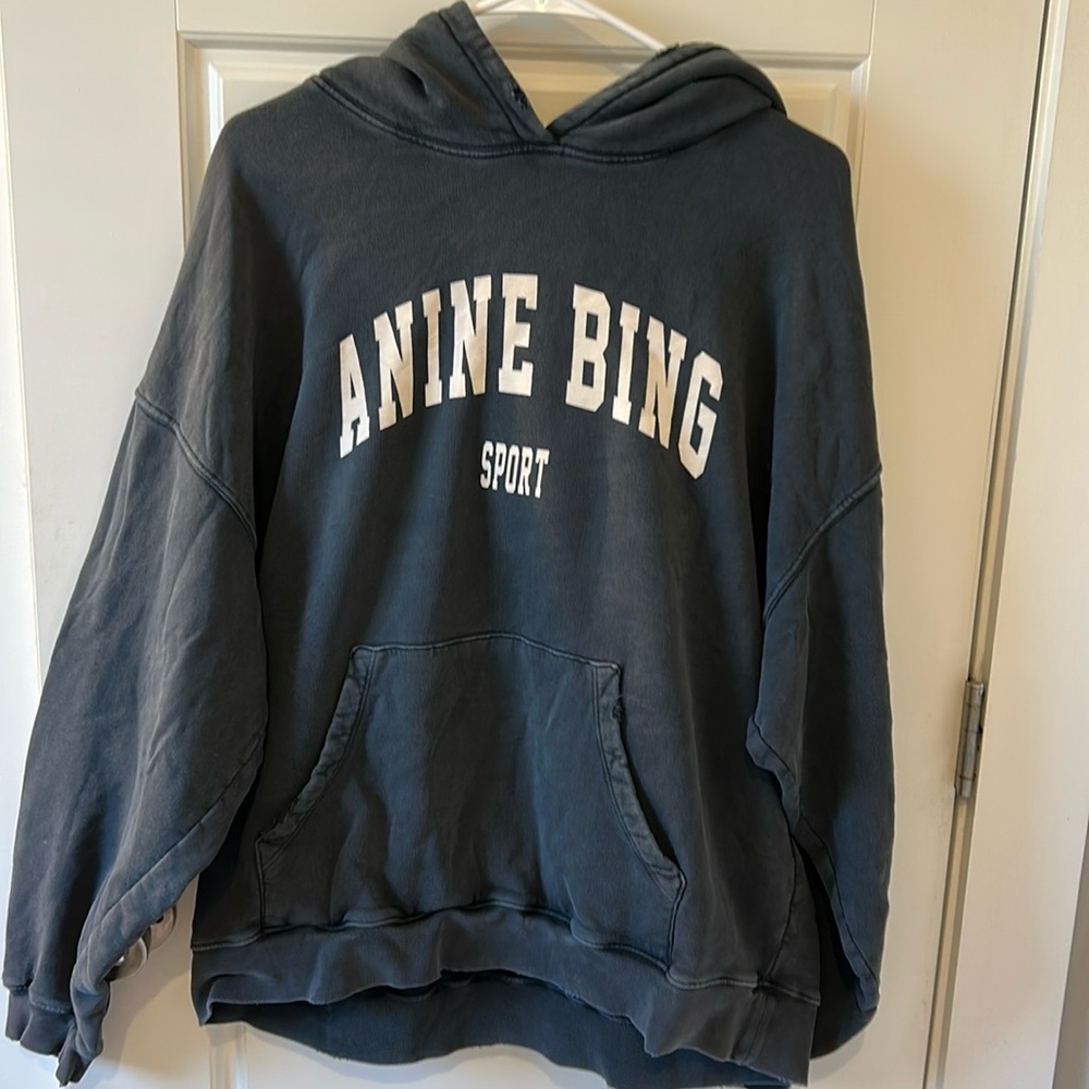 Anine Bing Hoodie